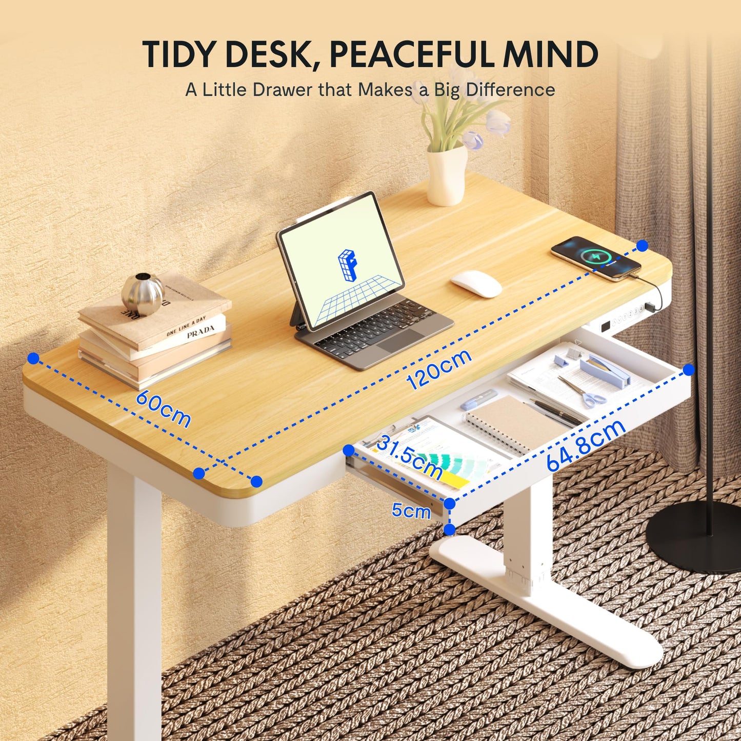 FLEXISPOT Höhenverstellbarer Schreibtisch 120x60 cm, LED-Höhenanzeige, Memory-Funktion, USB, Schublade, elektrisch, Naturahorn
