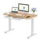 FLEXISPOT Höhenverstellbarer Schreibtisch 120x60 cm, LED-Höhenanzeige, Memory-Funktion, USB, Schublade, elektrisch, Naturahorn
